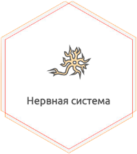 Заболевания периферической нервной системы
