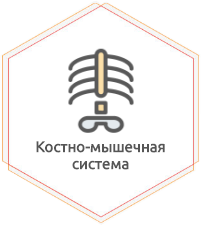 Заболевания опорно-двигательного аппарата и костно -мышечной системы