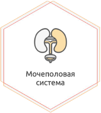 Лечение заболеваний мужской и женской половых сфер
