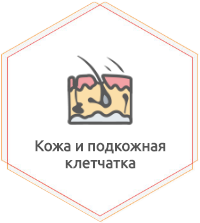 Лечение заболевания кожи и подкожной клетчатки
